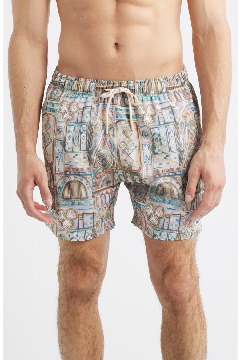 Printed Swim Trunks, Main, color, BEIGE MULTI