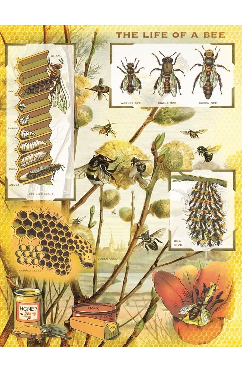 NEW YORK PUZZLE COMPANY Bees & Honey 1000 Piece Puzzle, Alternate, color, NO COLOR