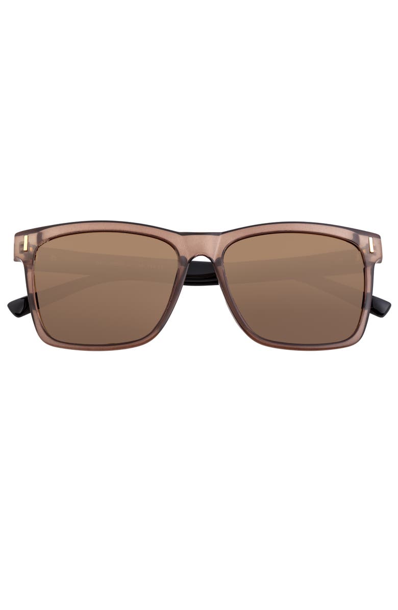 BREED Pictor Polarized Sunglasses, Alternate, color, Brown/Black