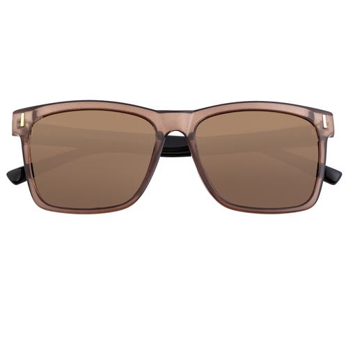 Breed Pictor Polarized Sunglasses In Brown