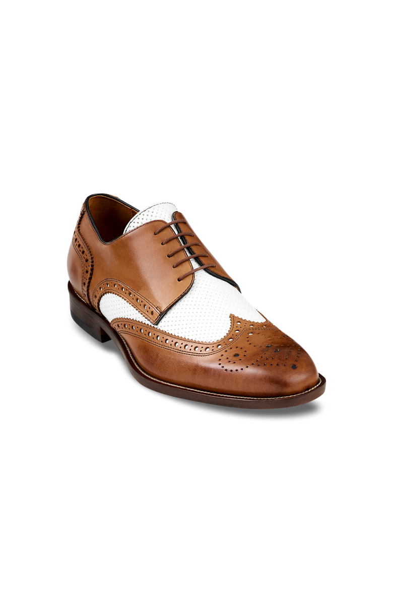 Paul Fredrick Morris Derby, Main, color, Chestnut/White