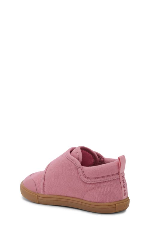 Stonz Cruiser Sneaker In Dusty Rose