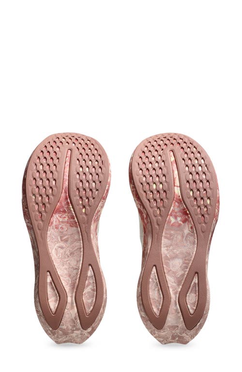 Asics ® Noosa Tri 16 Running Shoe In Cream/breeze