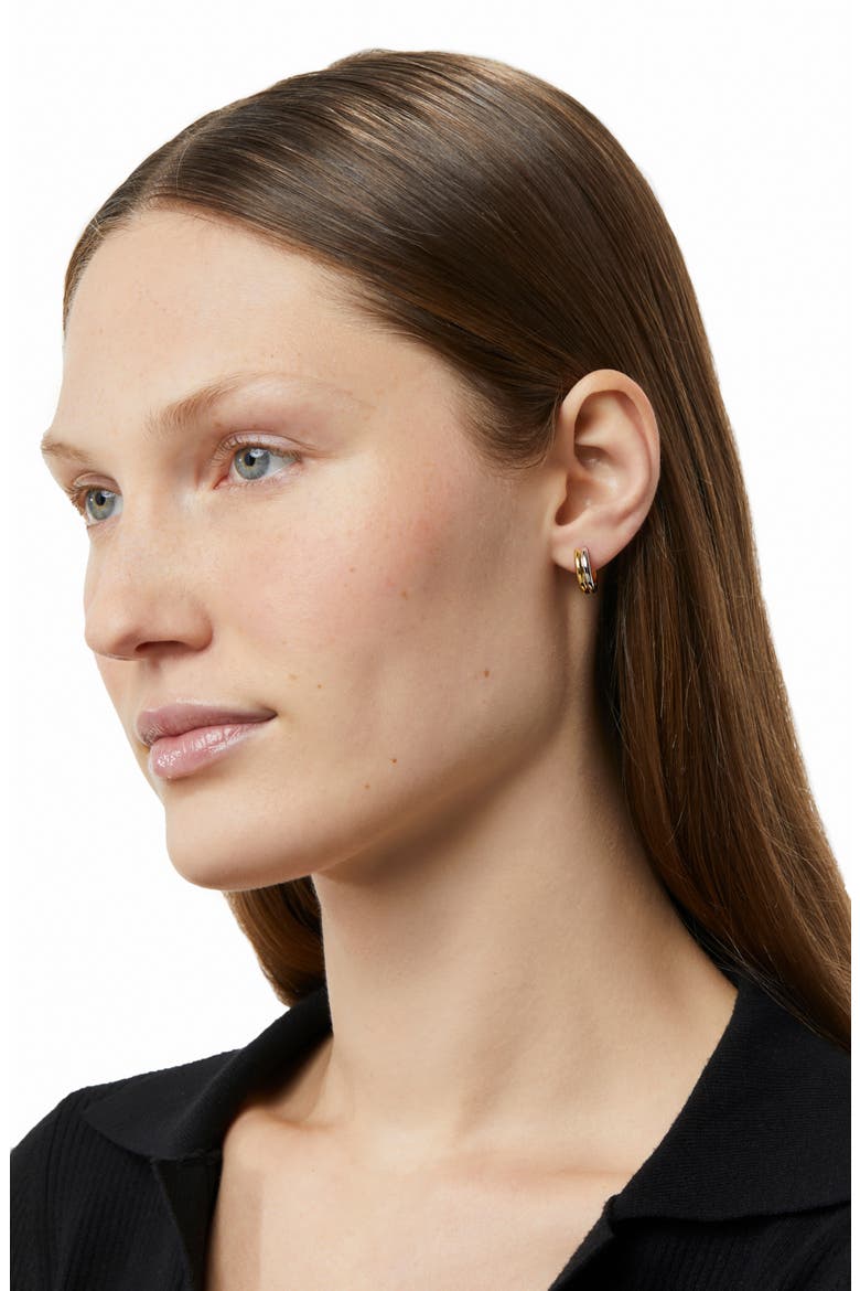 Huggie Hoop Earrings - Asher, Alternate, color, Gold/silver