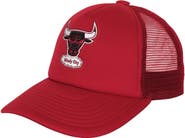 Mitchell & Ness Youth Mitchell & Ness Red Chicago Bulls Core Evergreen Trucker Adjustable Hat