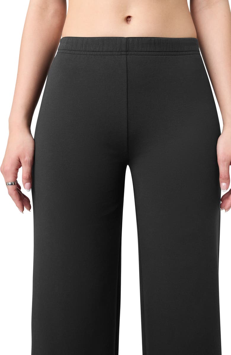 Florence by Mills Wide Leg Pants, Alternate, color, Black