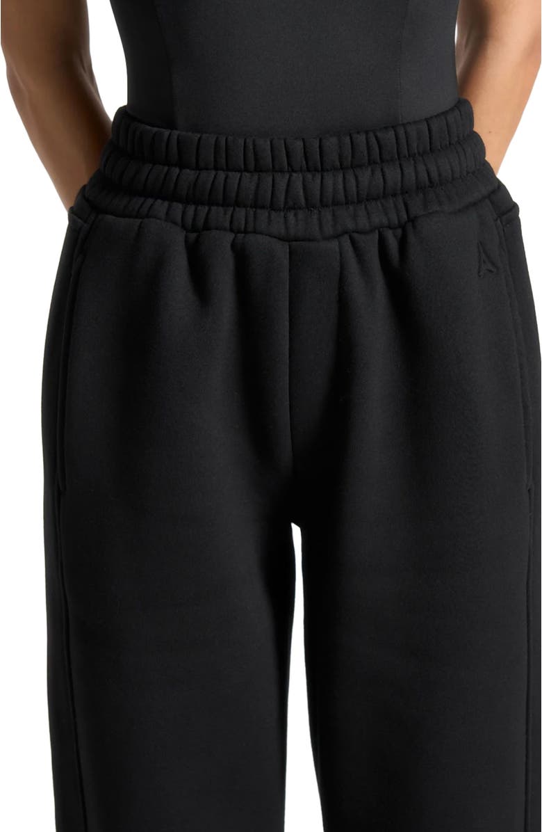 Manière De Voir Iris Relaxed Joggers, Alternate, color, Black