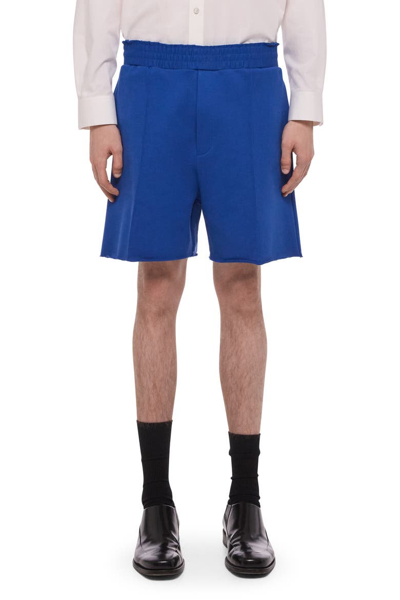 Cotton French Terry Shorts, Main, color, ROYAL BLUE