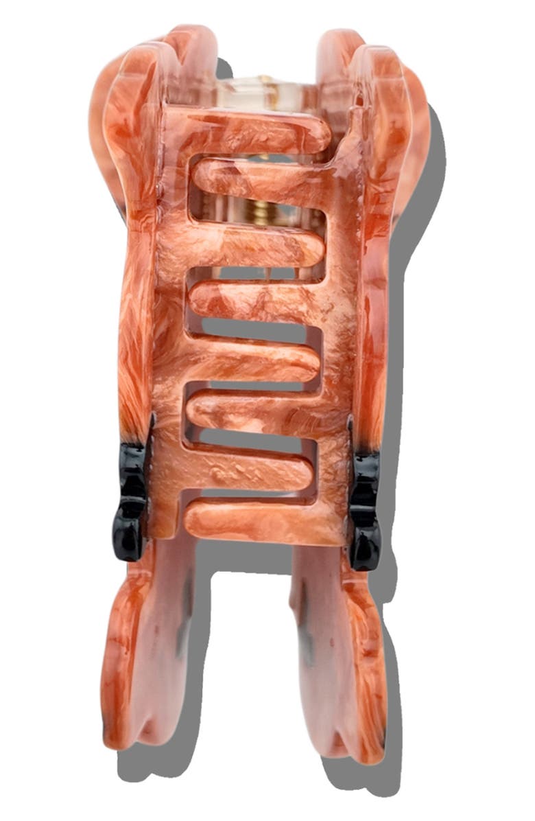 Solar Eclipse Hand Painted Puppy Claw Clip, Alternate, color, Brown