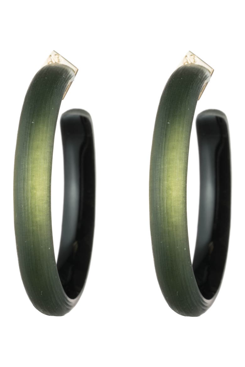 Large Hoop Earrings, Main, color, DARK SAGE