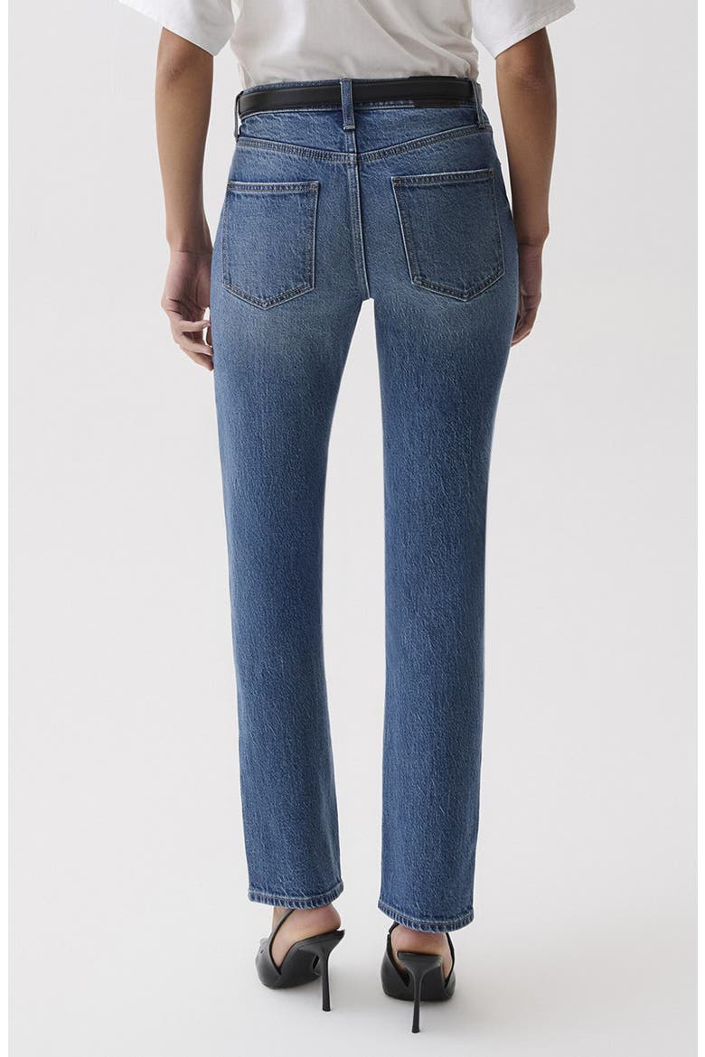 Aleks High Waist Straight Leg Petite Jeans, Alternate, color, SEA SALT