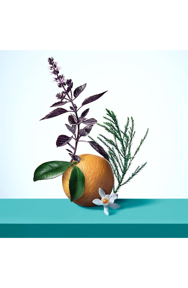 Tiffany & Co. Tiffany & Love Women's Gift Set, Alternate, color, 