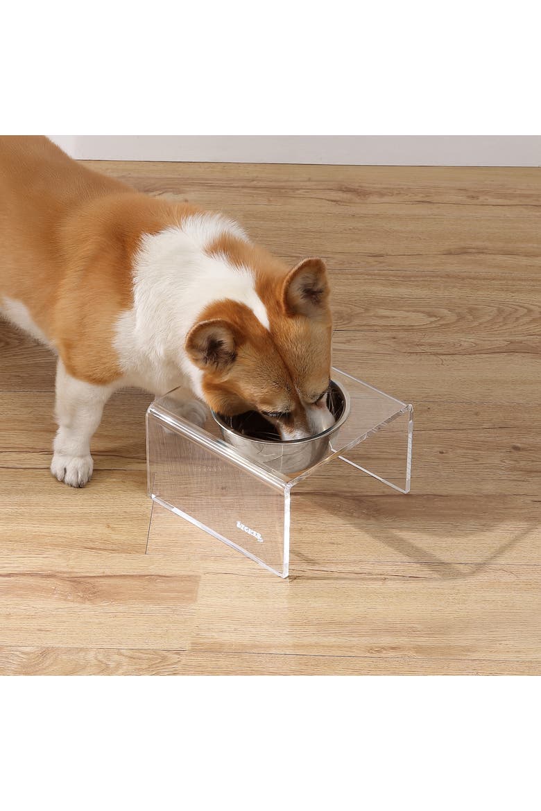 Keaton Modern Lucite Rectangular Elevated Pet Feeder with 2-Stainless Steel Bowls, Alternate, color, Clear/Chrome - Single