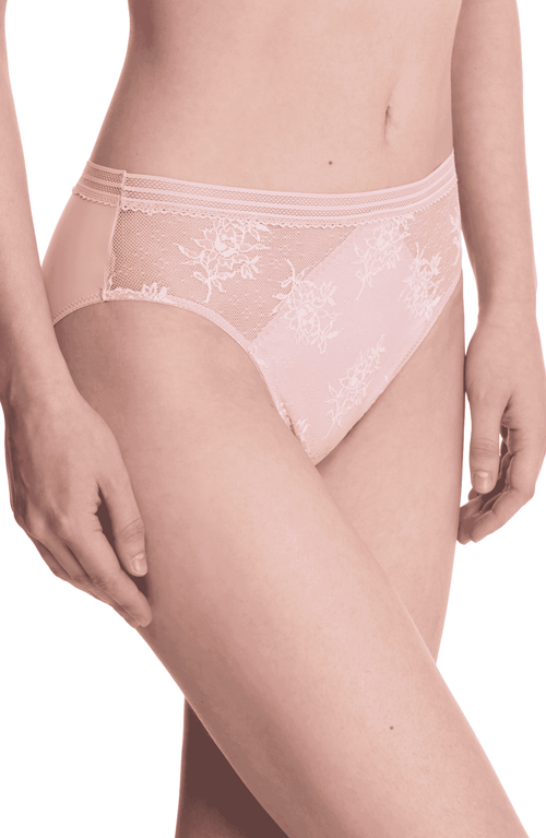 Natori Love Lace Hipster Panties