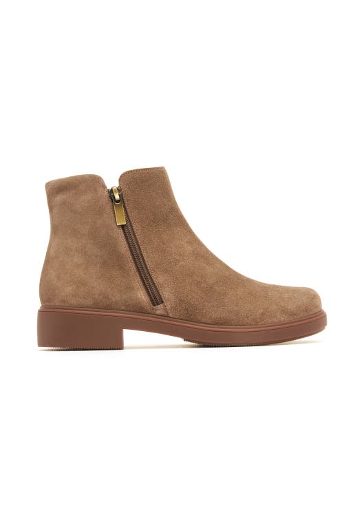 Abeo Compass Zip In Dark Taupe - Metatarsal