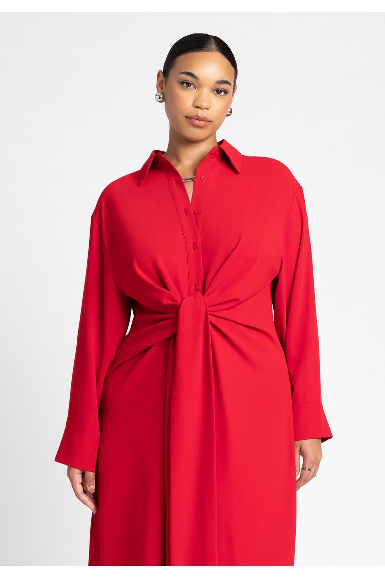 Tie Front Oversized Shirt Dress, Alternate, color, BARBADOS CHERRY