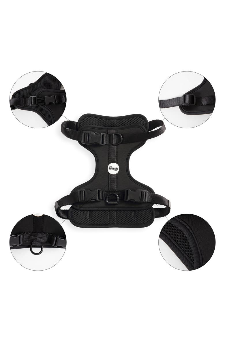 The Licker Store Arlo Adjustable Soft Padded No Pull Pet Harness with 3 Buckles and 3 Leash Clips, Alternate, color, Black