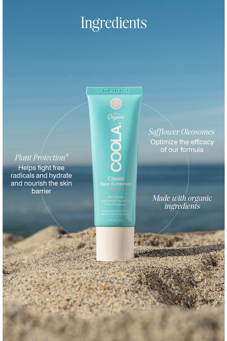 Suncare White Tea Sport Face Moisturizer SPF 50, Alternate, color, NO COLOR