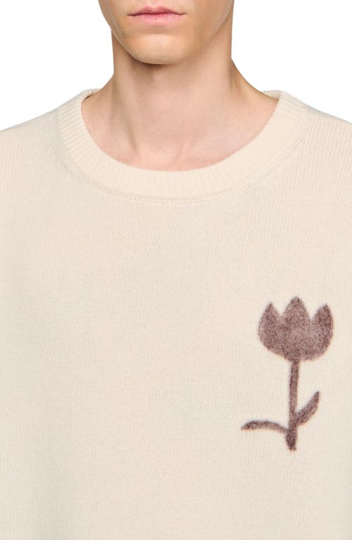 Sandro Wool Sweater With Flower Detail In Neutral