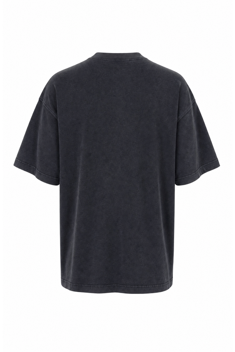 Relaxed Fit Floral Embroidered Crewneck T Shirt with Washed Finish, Alternate, color, Gray