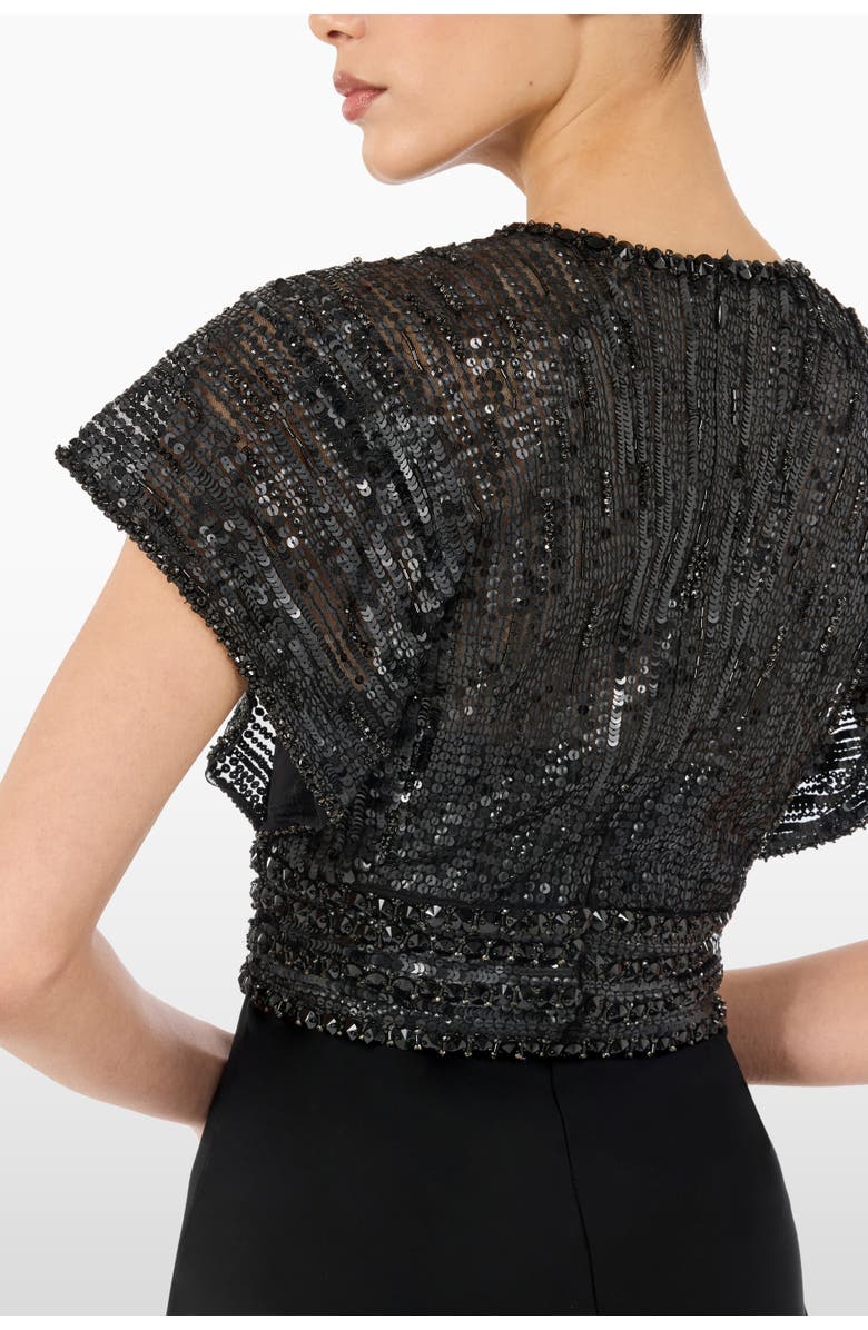 Jenny Packham Cary Sequin V-neck Maxi Dress, Alternate, color, Liquorice