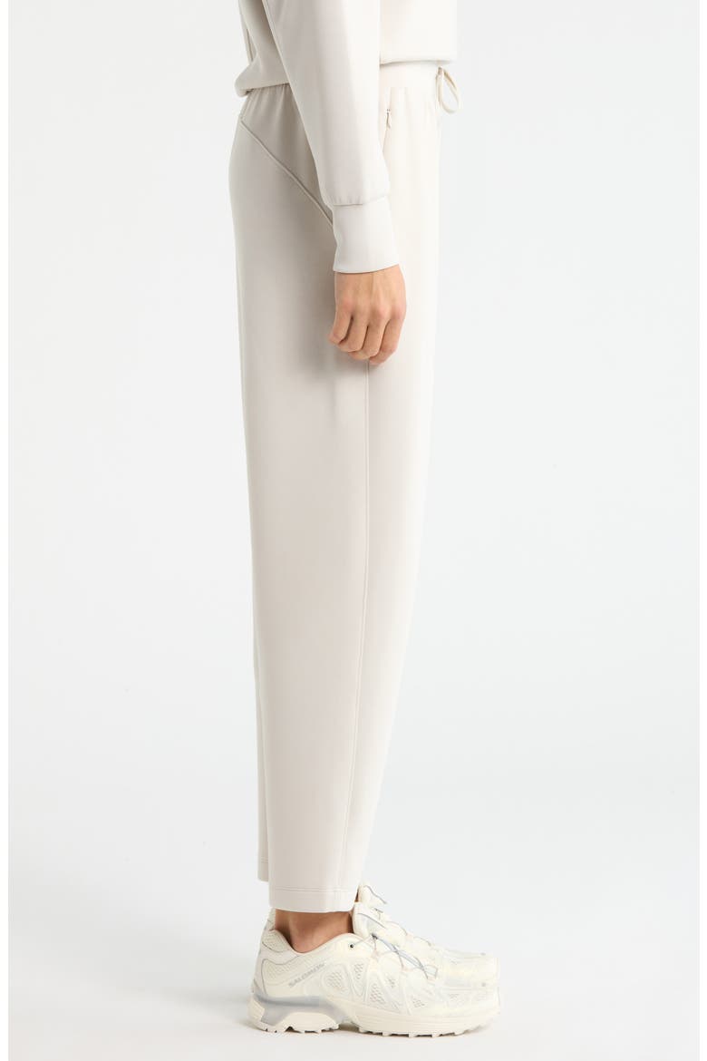 Soft Luxe High Waist Ankle Pants, Alternate, color, GREY MOONBEAM