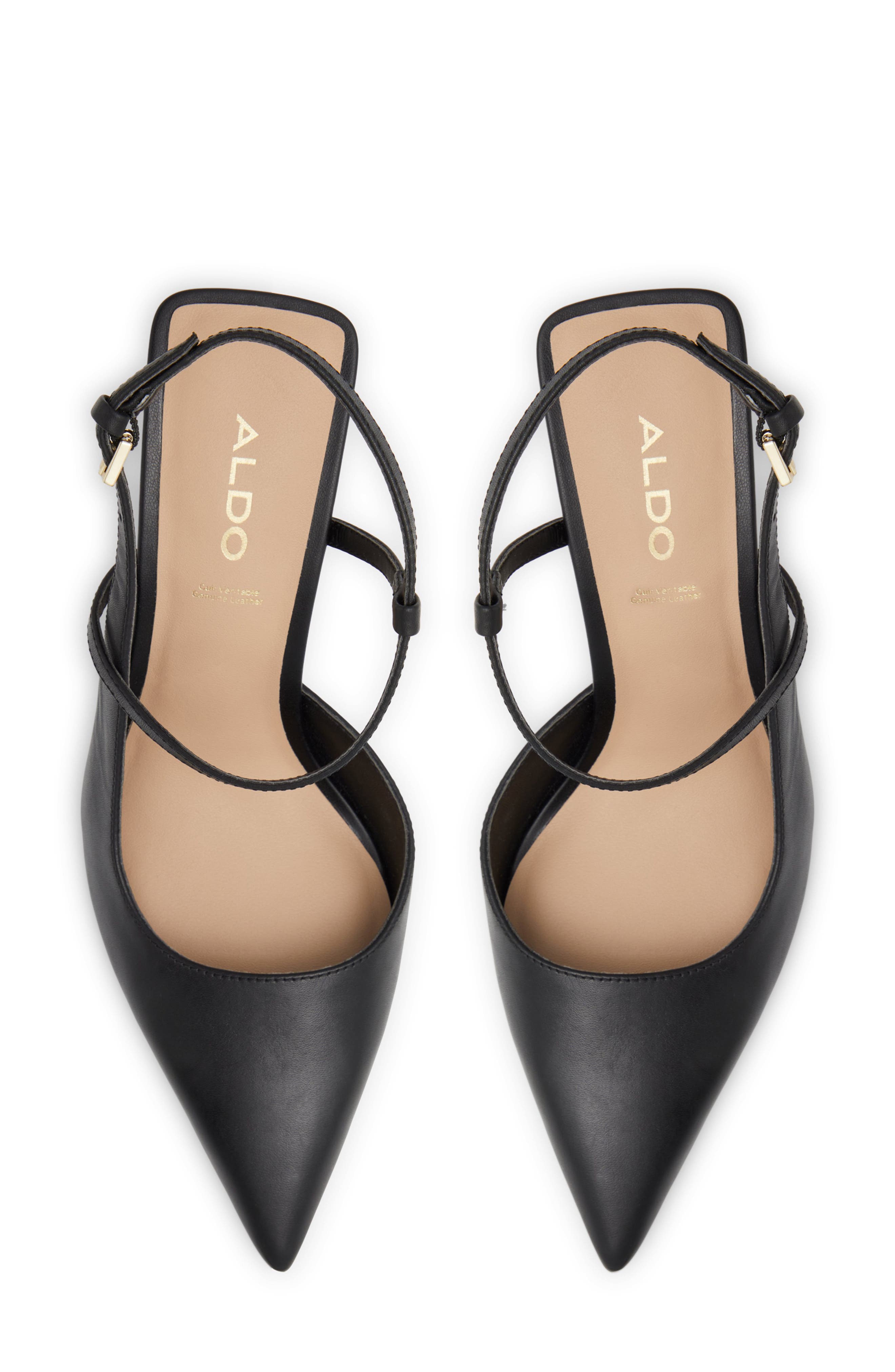 ALDO Brunette Pointed Toe Pump, Alternate, color, 