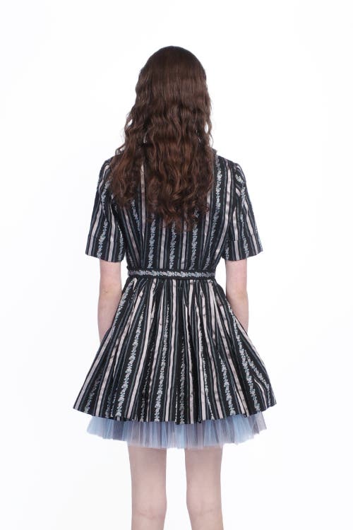Anna Sui Ribbon Roses Belted Mini Dress In Black Multi