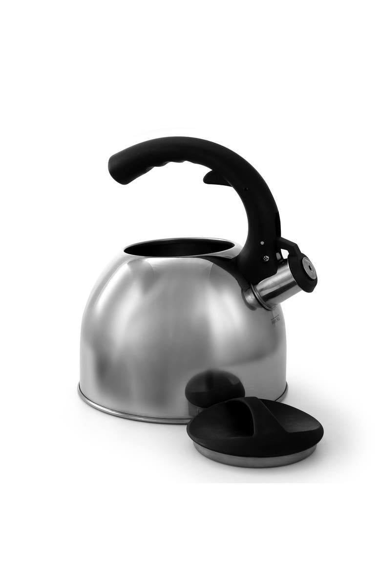 MR COFFEE Steamline 2 Quart Tea Kettle, Alternate, color, Metallic Silver