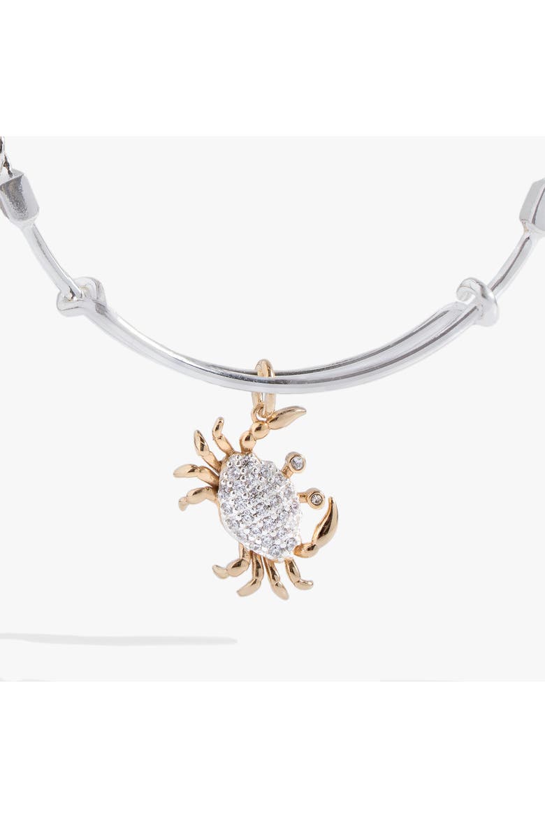 Textured Crab Charm Bangle, Alternate, color, Silver