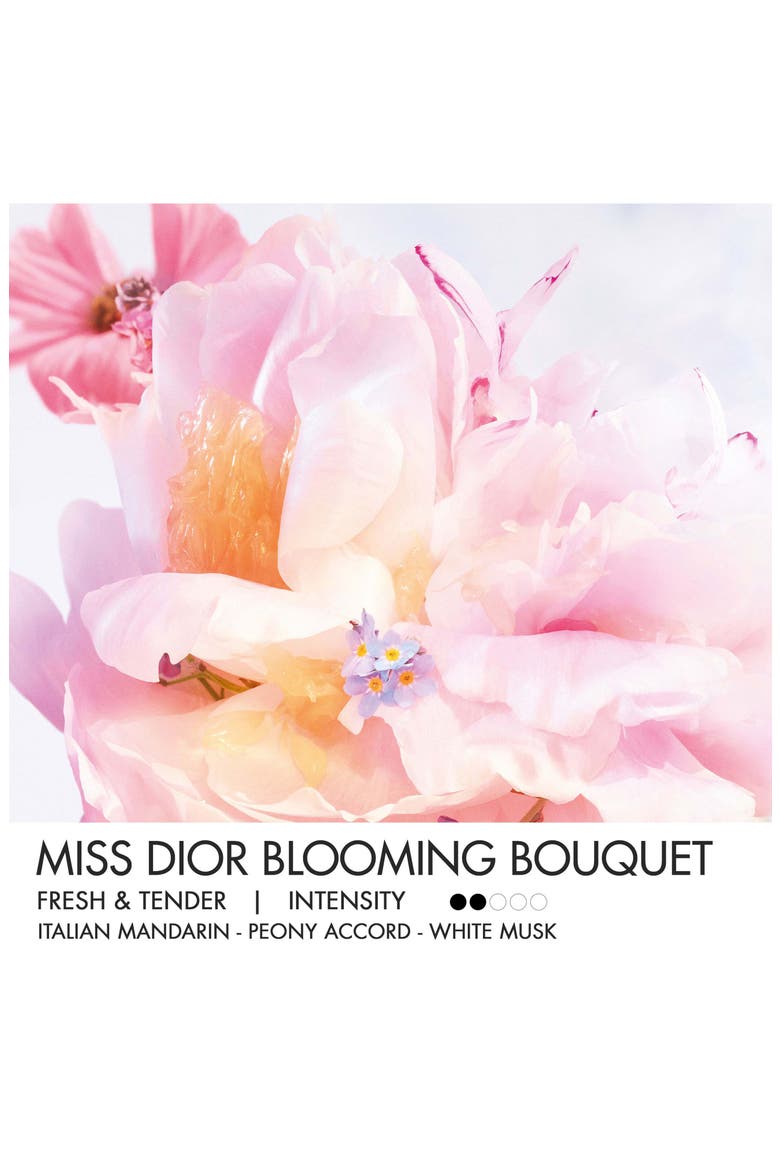 Miss Dior Blooming Bouquet Solid Perfume, Alternate, color, NO COLOR