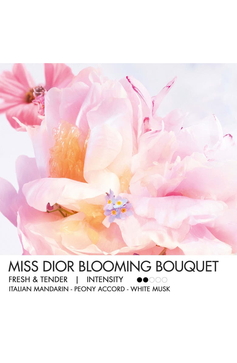 DIOR Miss Dior Blooming Bouquet Solid Perfume, Alternate, color,