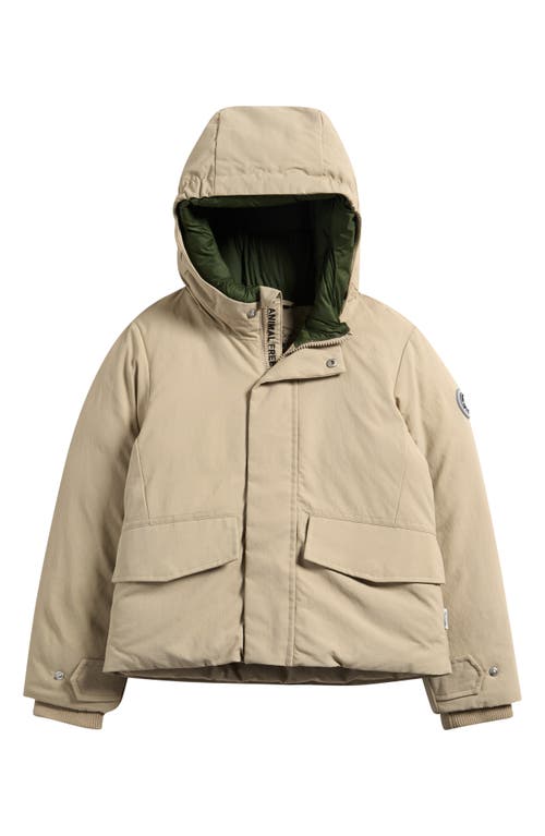 Save The Duck Kids' Benj Hooded Jacket In Neutral