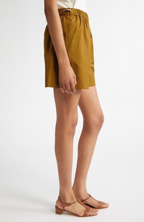 Max Mara Haway Elastic Waist Cotton Poplin Shorts In Olive Green