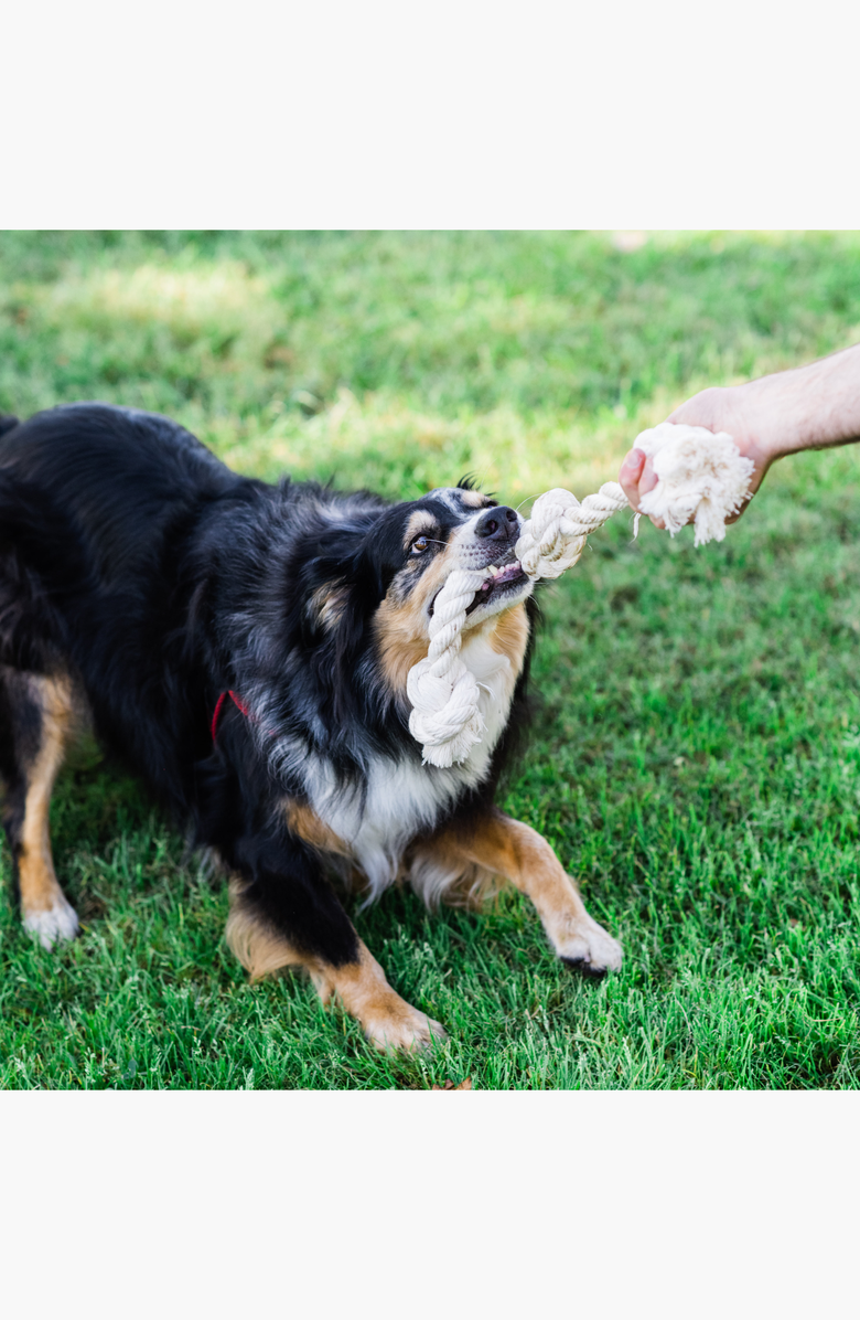 The Kind Pet 100% Organic Cotton Rope Dog Toy, Alternate, color, 5/8" X 7" / 2 Knots