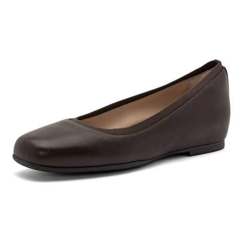 Abeo Cadence Ballet In Dark Brown - Regular