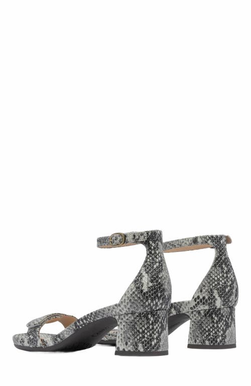 Abeo Avenue Strap Heels In Snake Print - Metatarsal