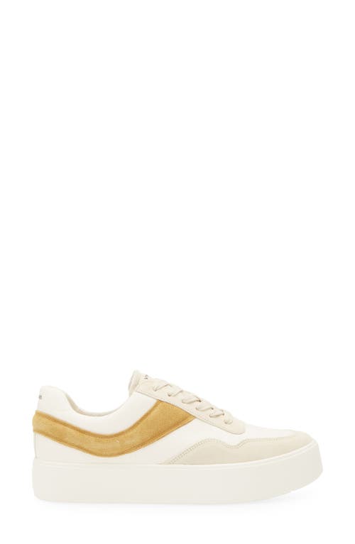 Vince Benfield Court Leather Sneaker In Milk/golden Desert