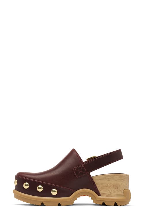 Sorel Roam'n Rvt Clog In Brown