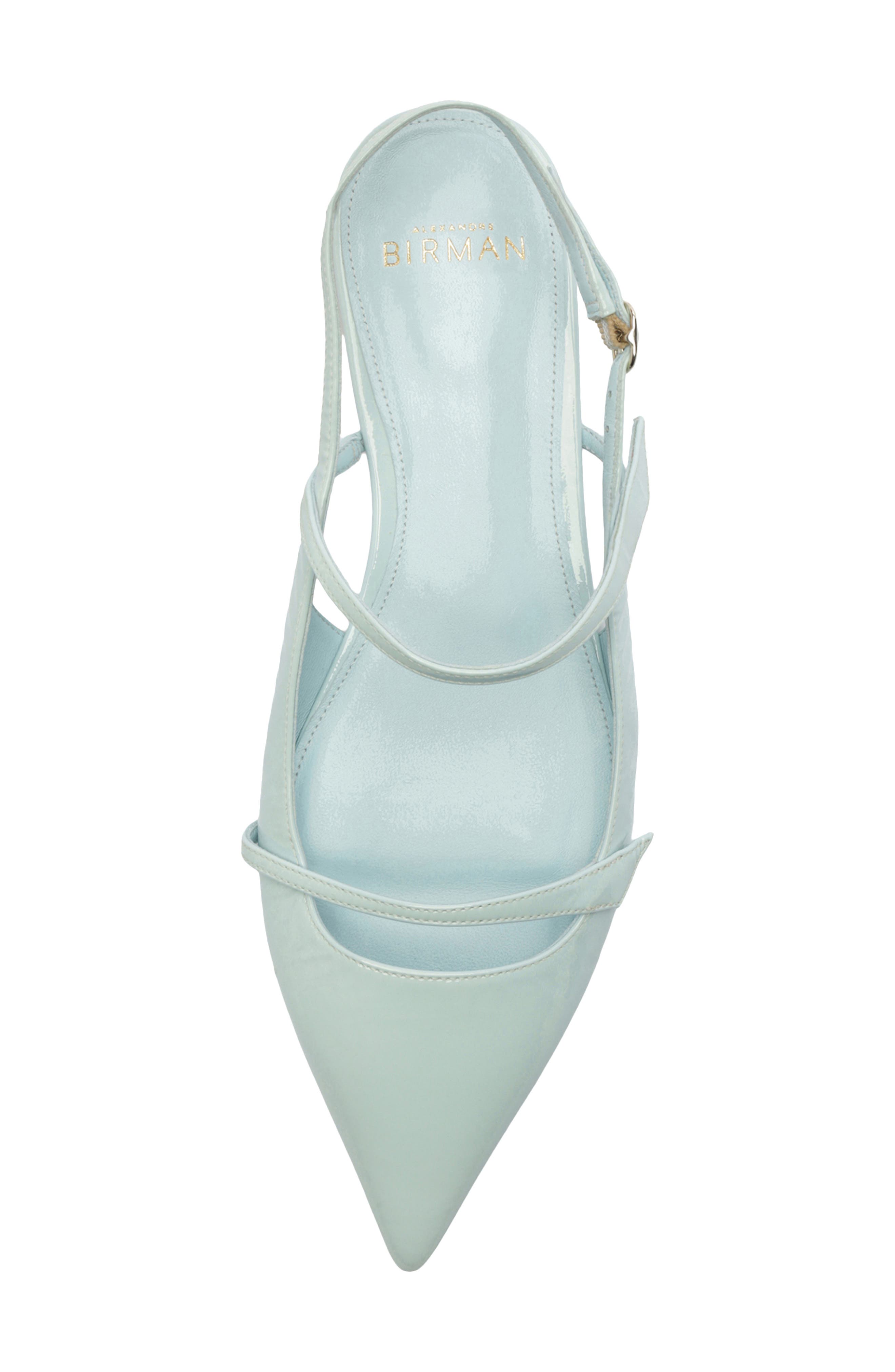 Tita Pointed Toe Slingback Flat, Alternate, color, DUST BLUE