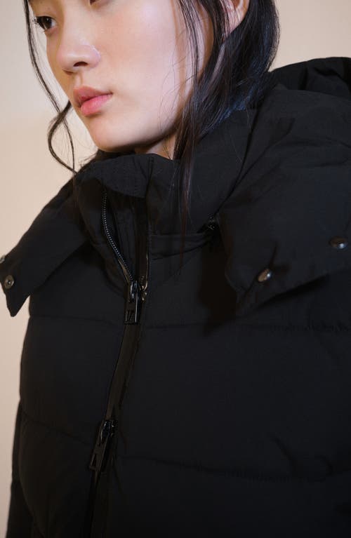 Shop Mango Water Repellent Hooded Quilted Coat In Black