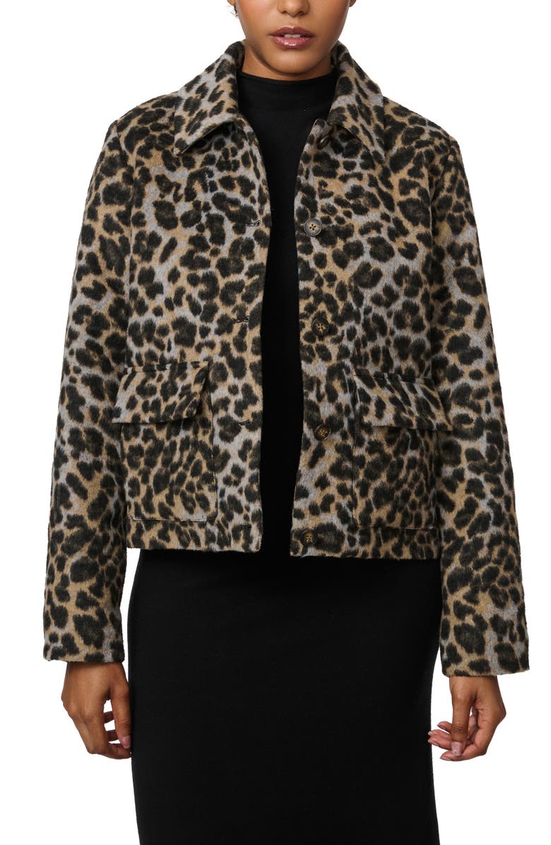 Bernardo Leopard Print Crop Jacket, Alternate, color, Leopard