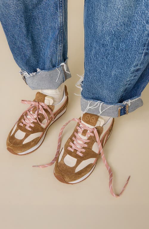 Charlotte Stone Hazel Sneaker In Brown