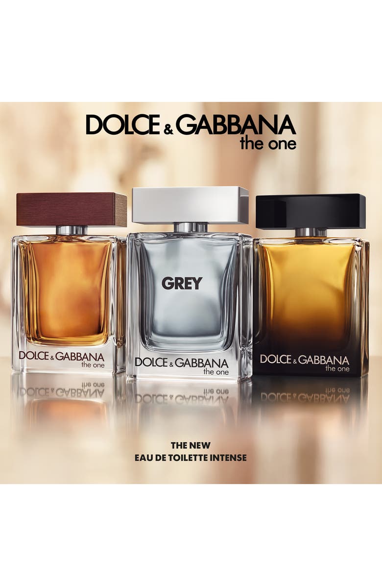 Dolce&Gabbana The One Grey Eau de Toilette, Alternate, color, 