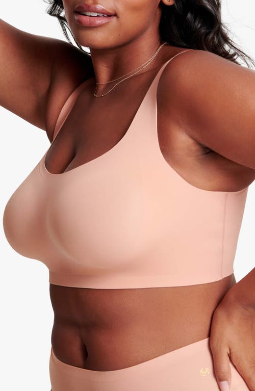 Evelyn & Bobbie The Bobbie Scoop Bra In Brown