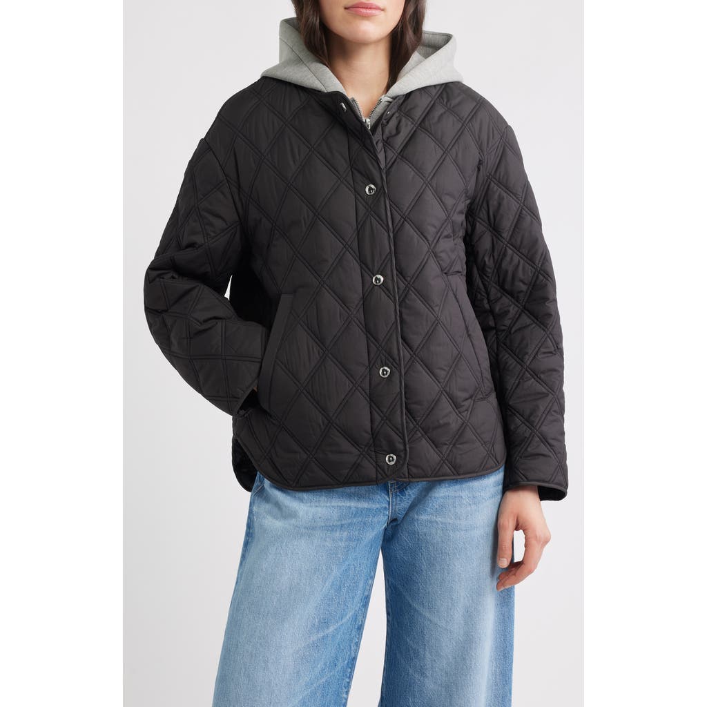 Sam Edelman Hoodie Bib Quilted Jacket in Black at Nordstrom, Size Small