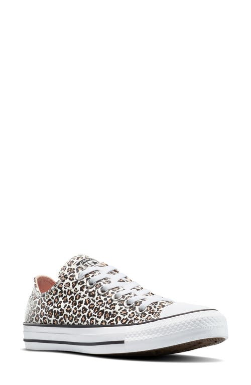 Converse Gender Inclusive Chuck Taylor All Star Leopard Spot Canvas Low Top Sneaker In Animal Print