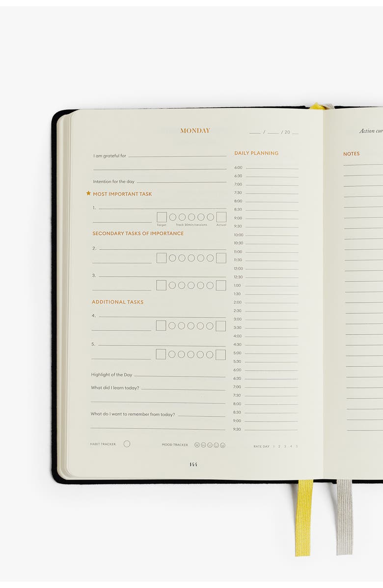 INTELLIGENT CHANGE Productivity Planner, Alternate, color, 