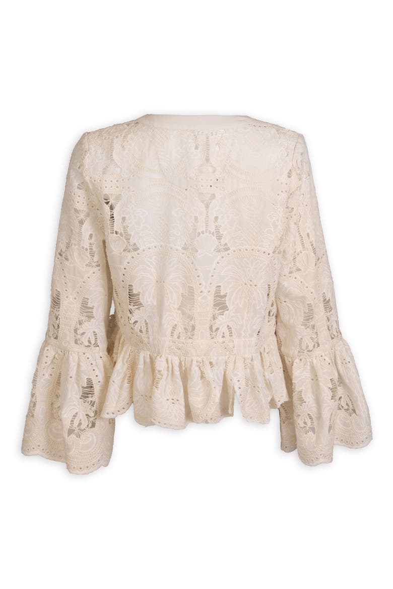 Embroidered Eyelet Tie Front Ruffle Top, Alternate, color, IVORY