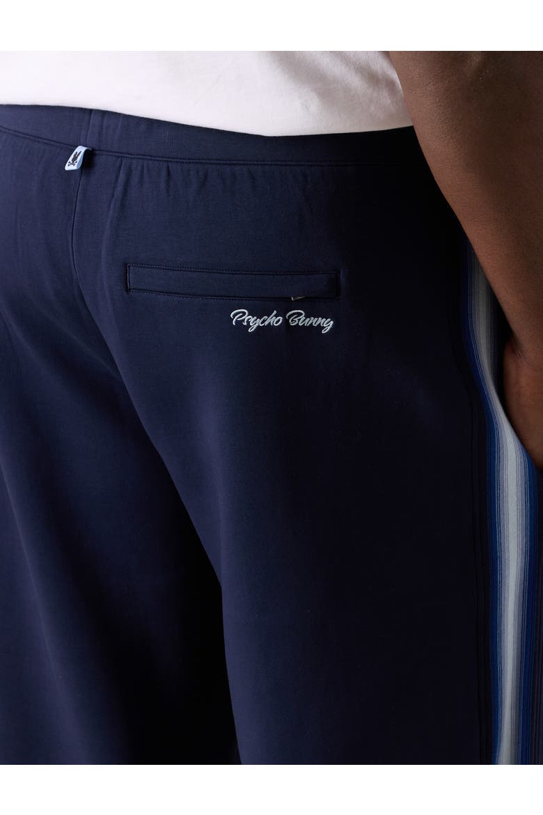 Big & Tall Pal Wide-Leg Track Pants, Alternate, color, NAVY